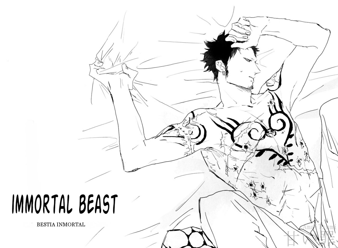 Immortal Beast (one piece) - Spanish 