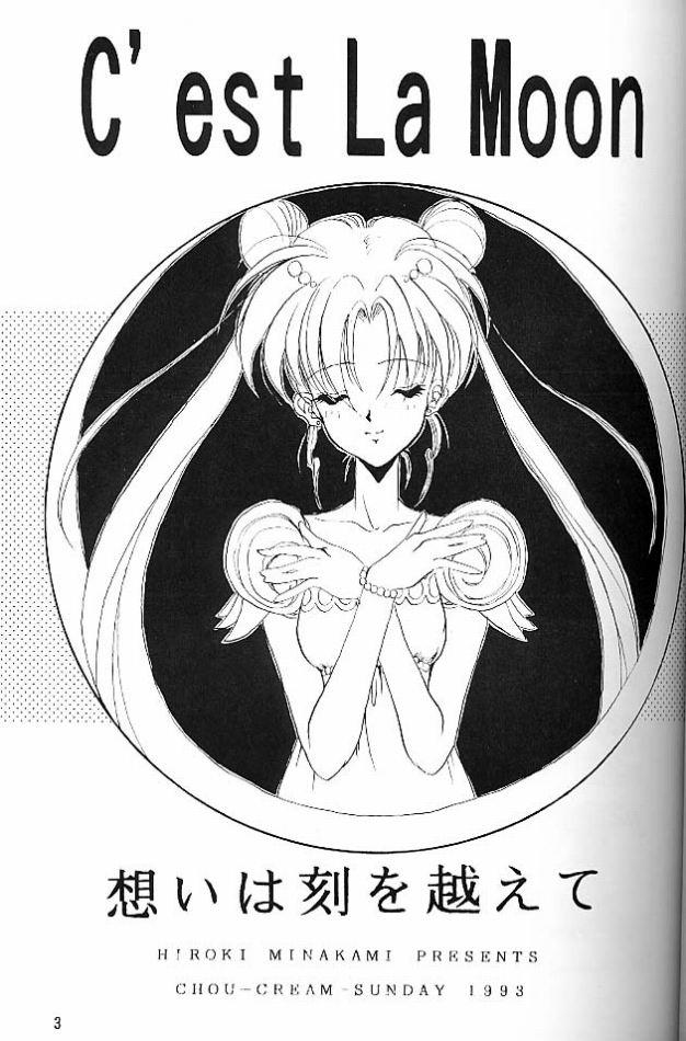 C&#039;est la Moon [Sailor Moon] 