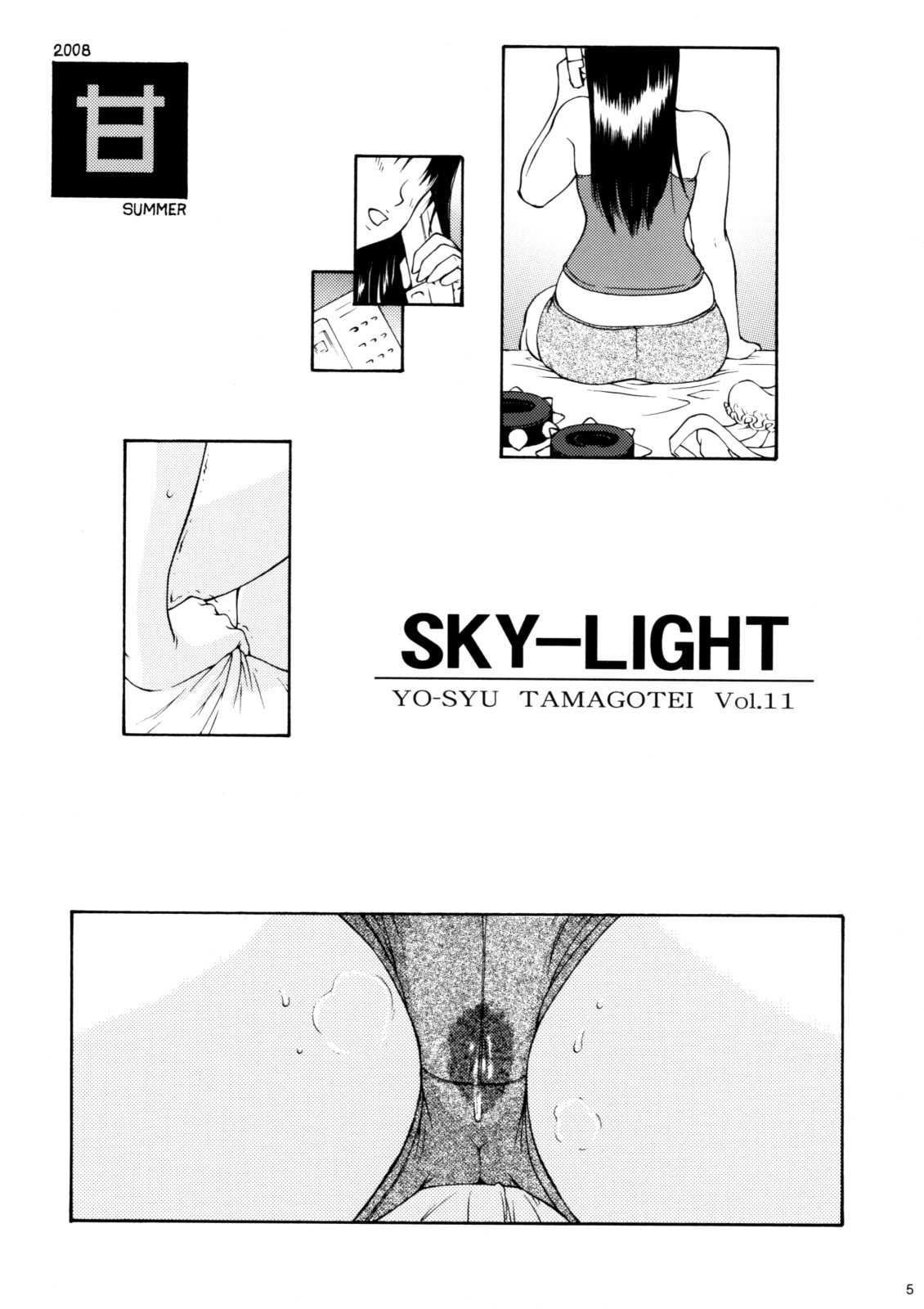 (C74)[Amazake Hatosyo-ten (Yo-shu Ohepe)] Sky Light (Street Fighter) (C74)[甘酒鳩商店 (養酒オヘペ)] Sky Light (ストリートファイター)