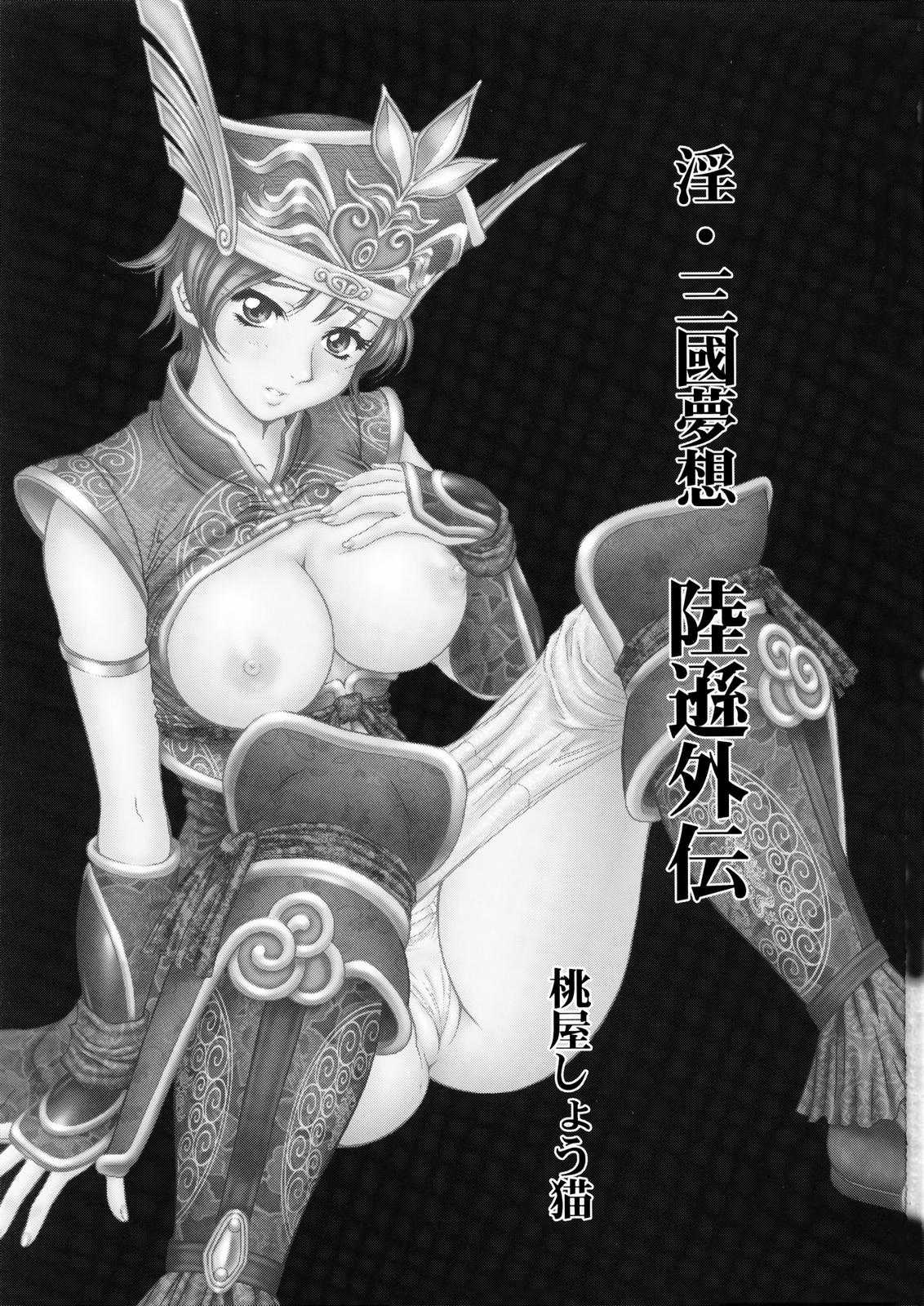 Dynasty Warriors Sangoku Musou:  Riku Son Gaiden 