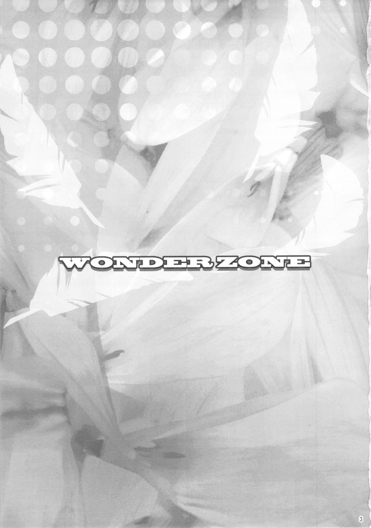 (C86) [AKKAN-Bi PROJECT (Yanagi Hirohiko)] WONDER ZONE (Love Live!) (C86) [あっかんBi～ (柳ひろひこ)] WONDER ZONE (ラブライブ!)